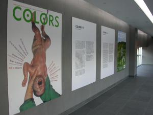 COLORS15.69 15YEARS IN 68COVERS, THEME EXHIBITION COLORS 